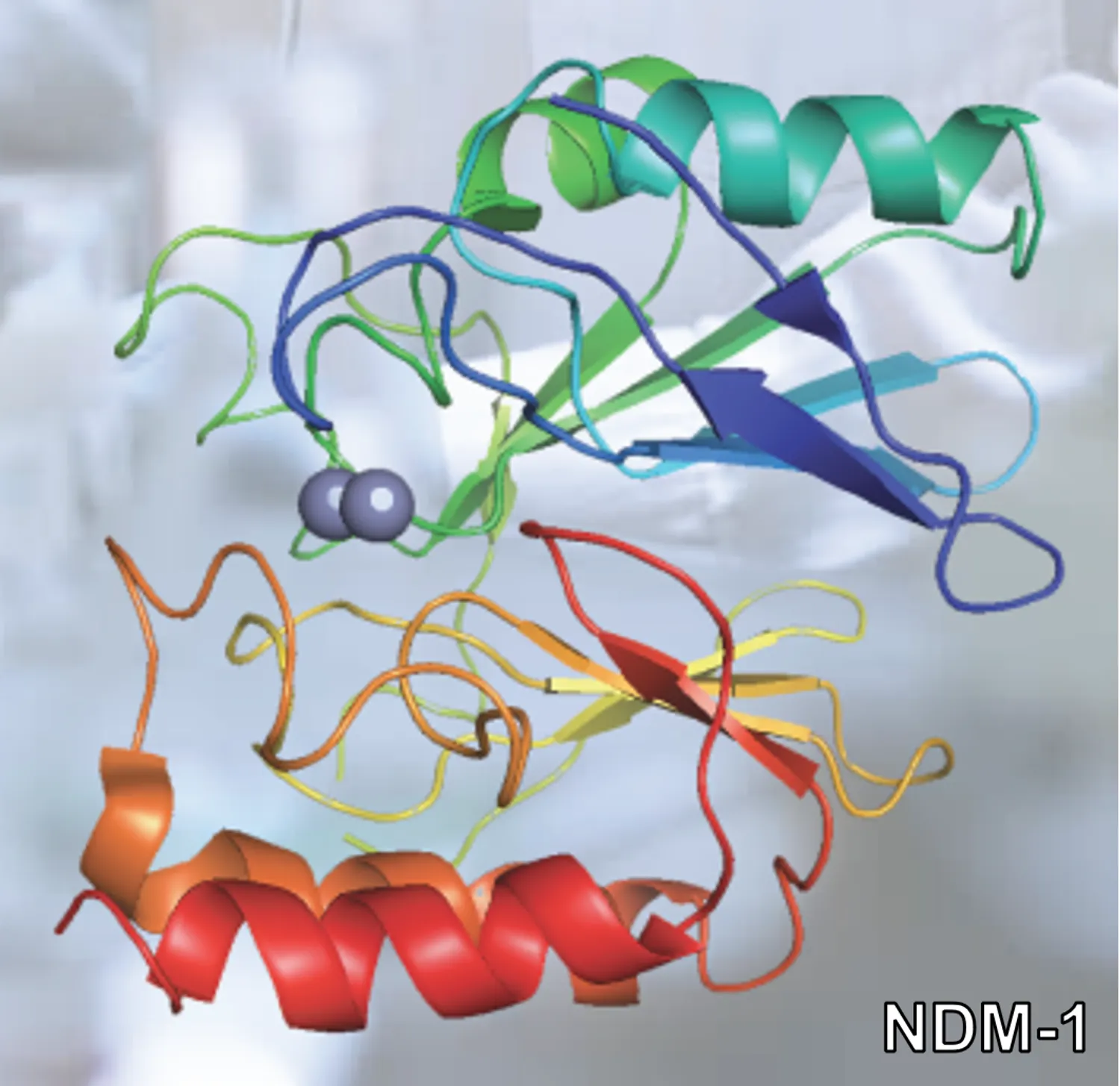 NDM-1