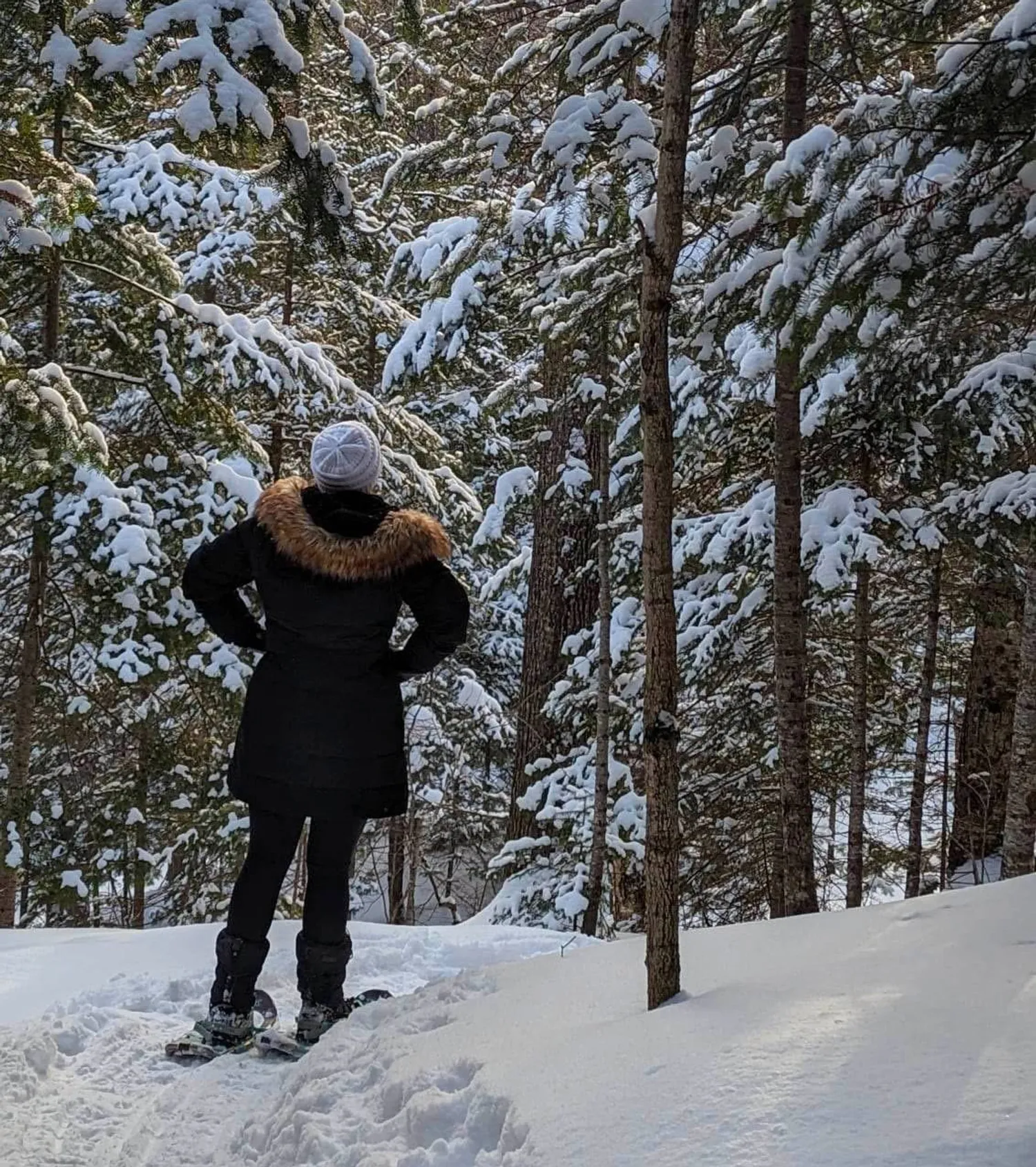A figure stands on a snowy winter landscape. Their hands are on their hips and they face away from the camera. beyond them is a forest of trees.