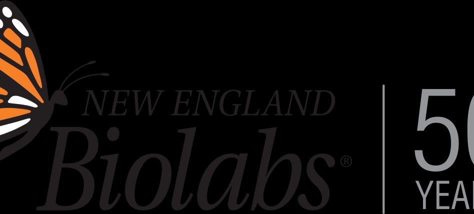 New England Biolabs