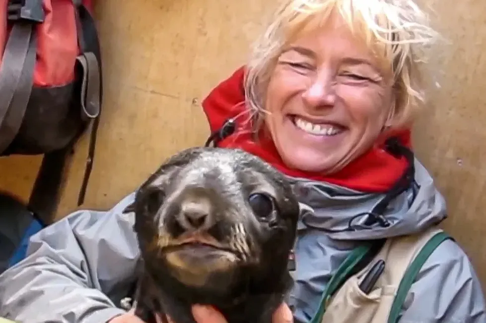 Sara Iverson with a seal