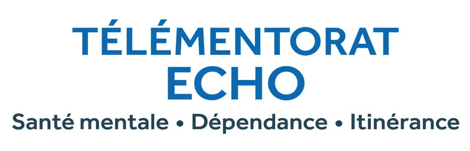 Télémentorat ECHO SMDI
