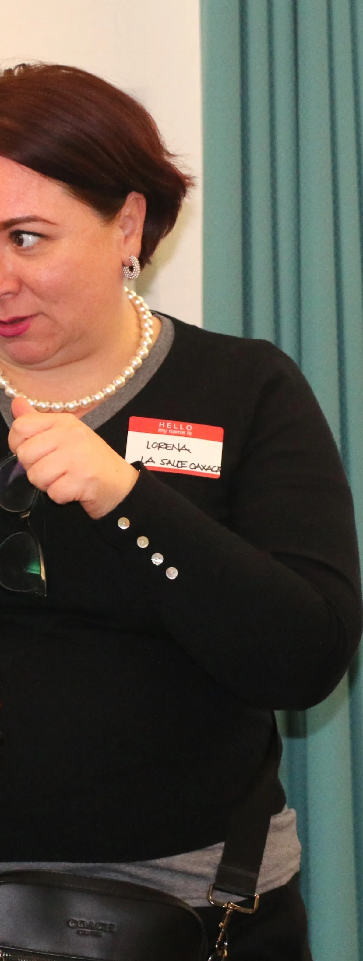 SDSU faculty converse with International Scholars