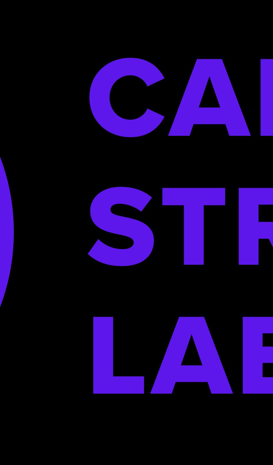 Career Strategy Lab