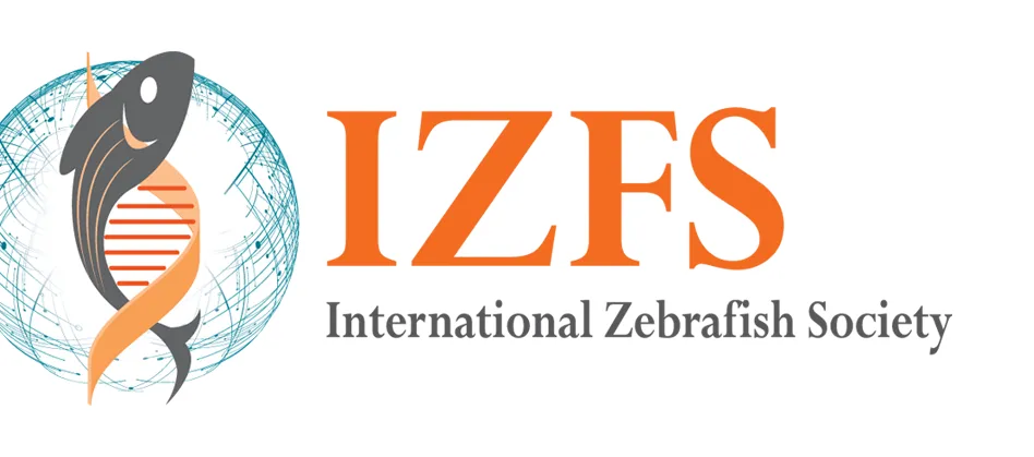 IZFS