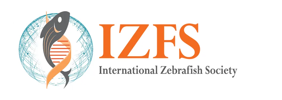 IZFS