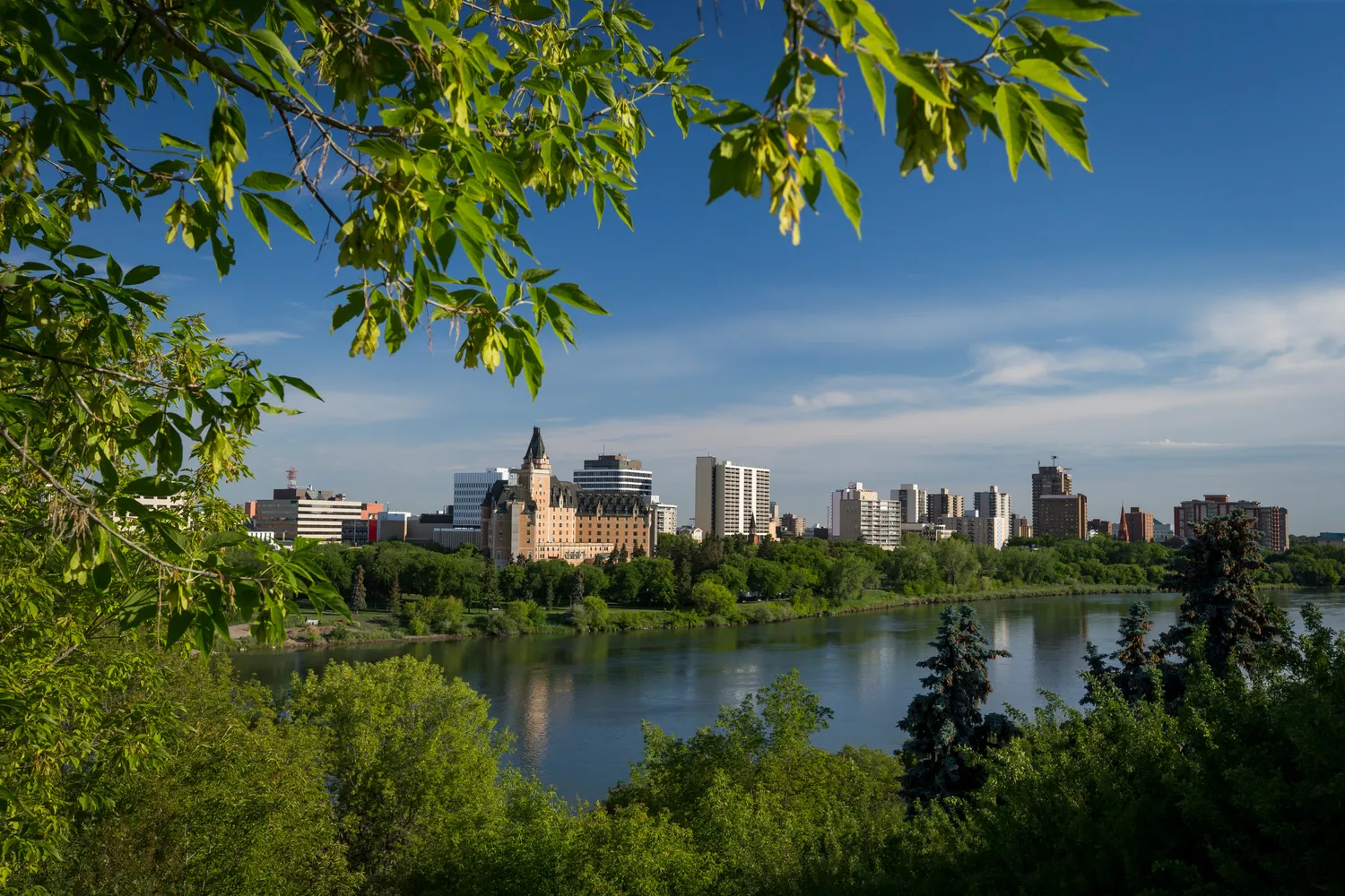 Saskatoon river valley view through trees