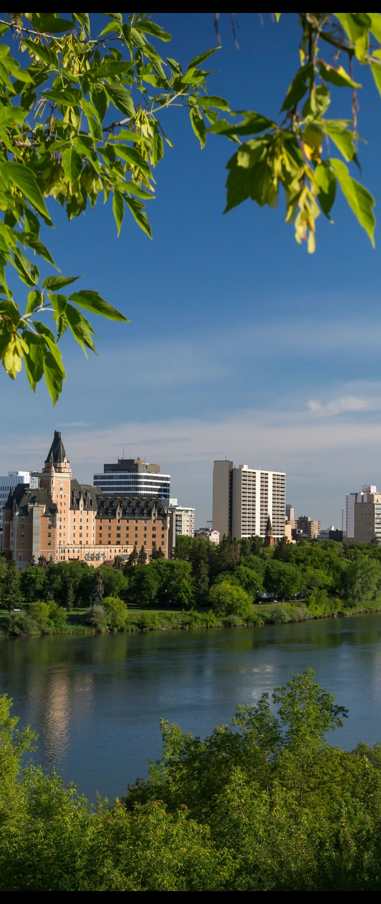 Saskatoon river valley view through trees