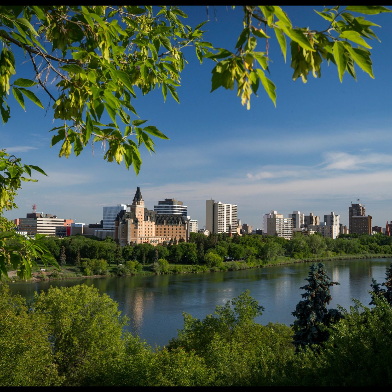 Saskatoon river valley view through trees
