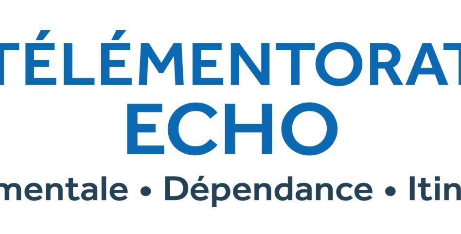 Télémentorat ECHO SMDI