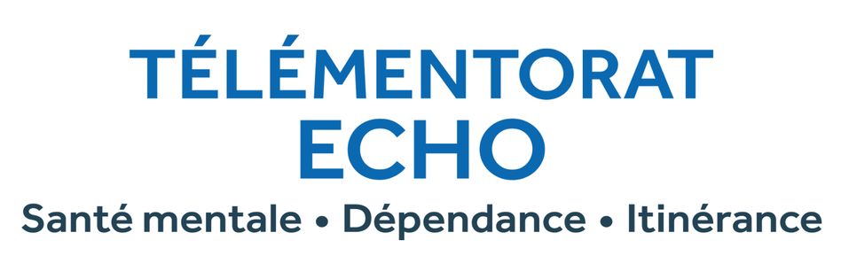 Télémentorat ECHO SMDI