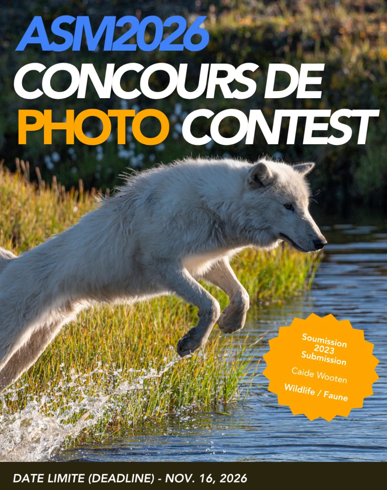 ASM2026 Photo Contest
