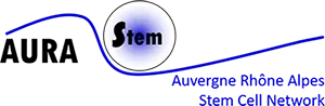 Aurastem