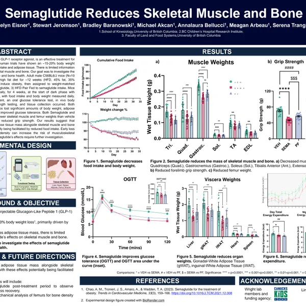 how fast do you feel effects of semaglutide How Long Does Semaglutide Take to Work? Results Timeline