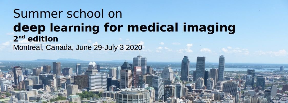 Speakers - 2020 summer school on deep learning for medical imaging, 2nd ...