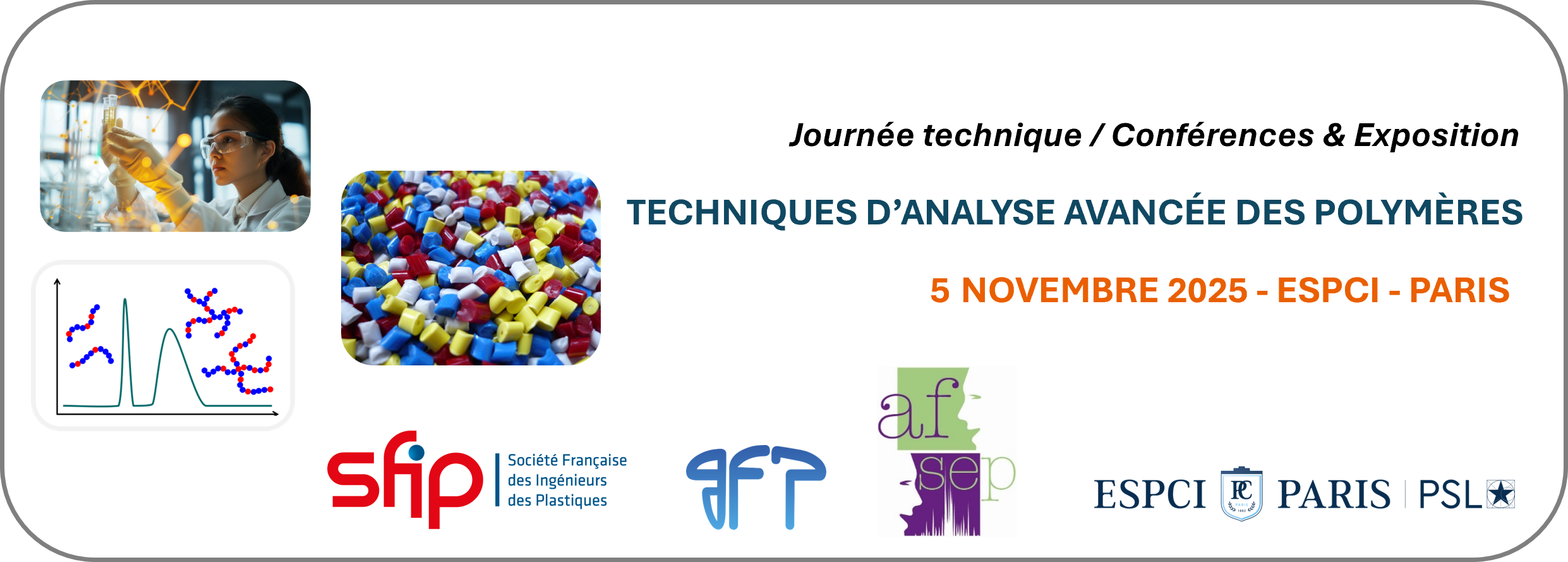 Scientific Committee - Advanced Polymer analysis techniques