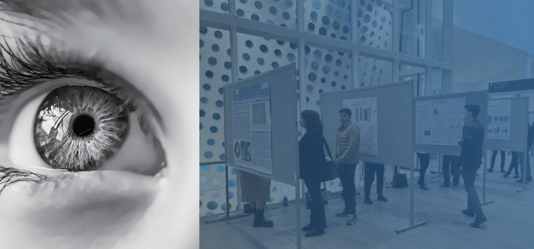 26th Annual Meeting of the Vision Health Research Network