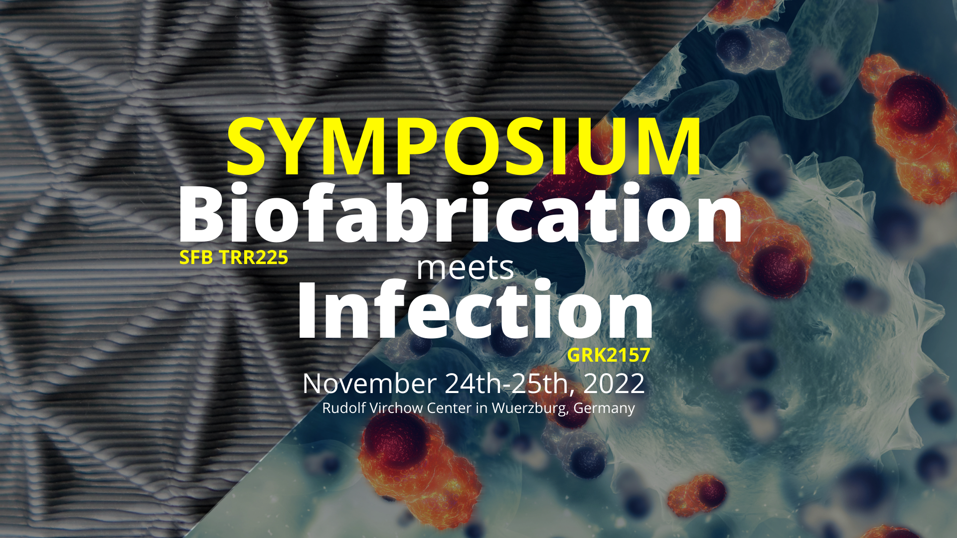 Pus Header Program - Biofabrication meets Infection