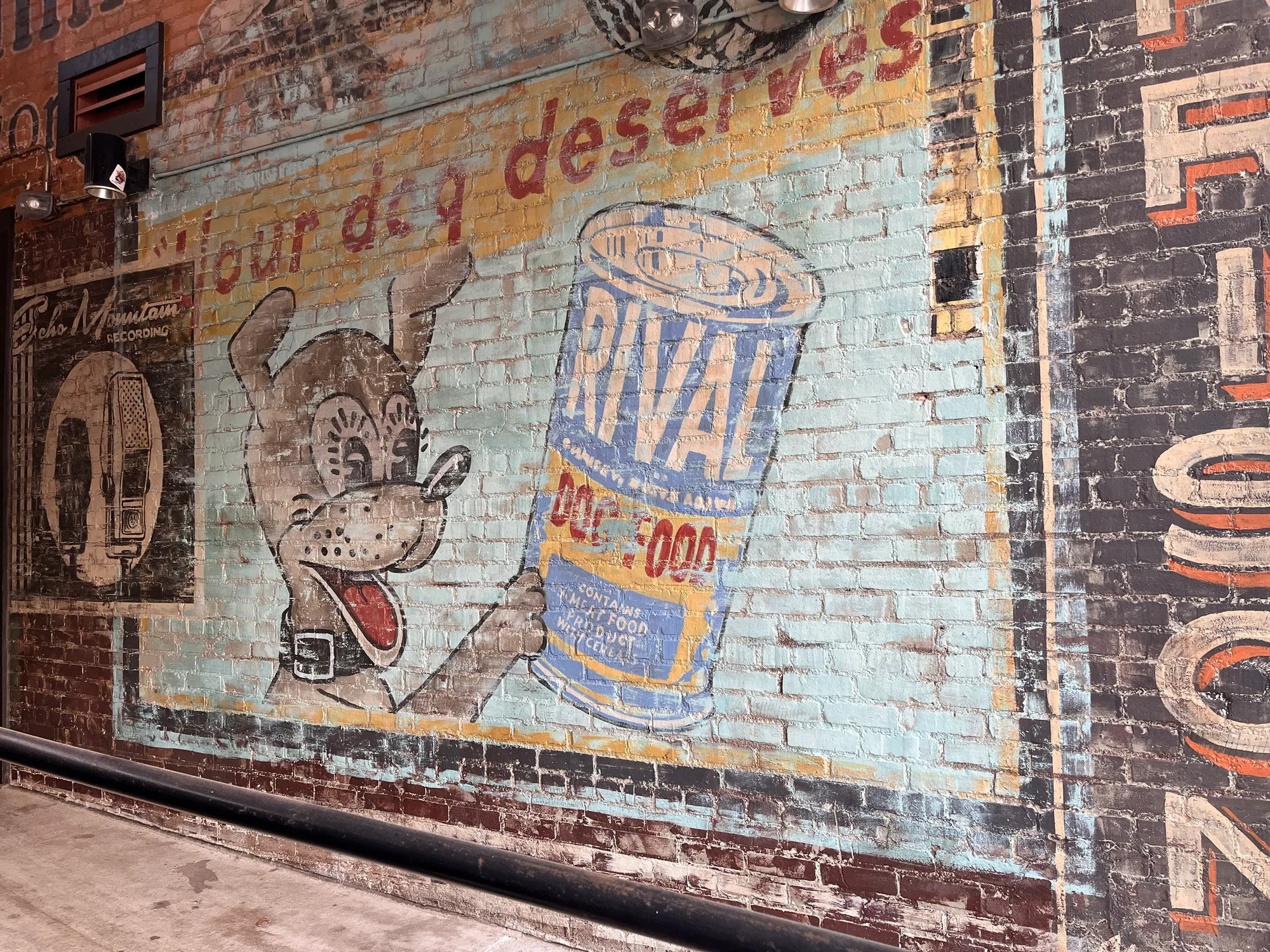 Photo of a vintage Rival dog food advertisement on a public wall in Asheville, NC. Photo by Martha Sims, Annual Meeting Program Manager during March 2026 site visit.