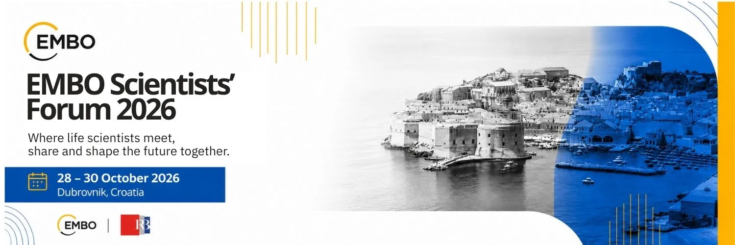 Image of Dubrovnik by Ivan Ivankovic from Pixabay