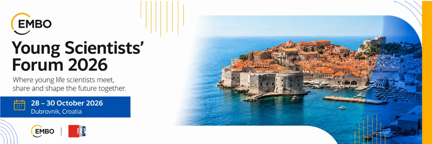 Image of Dubrovnik by Ivan Ivankovic from Pixabay