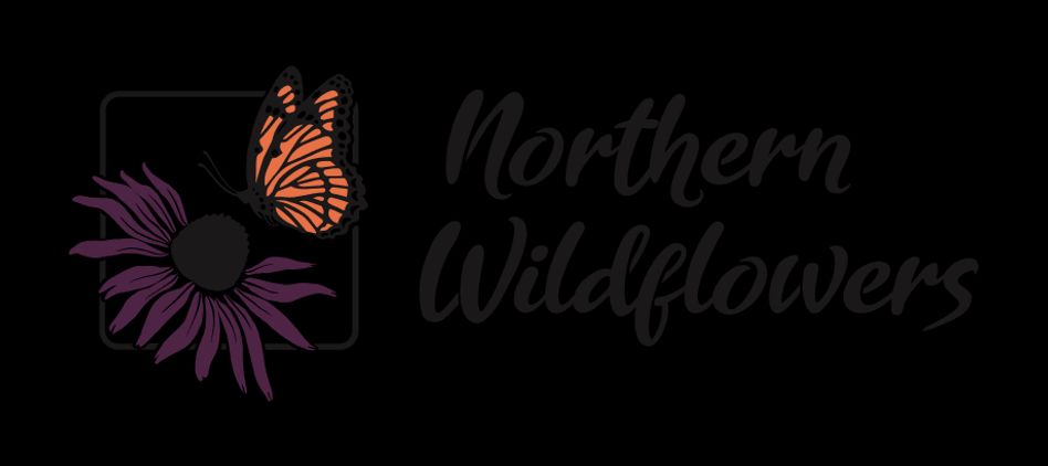 Northern Wildflowers