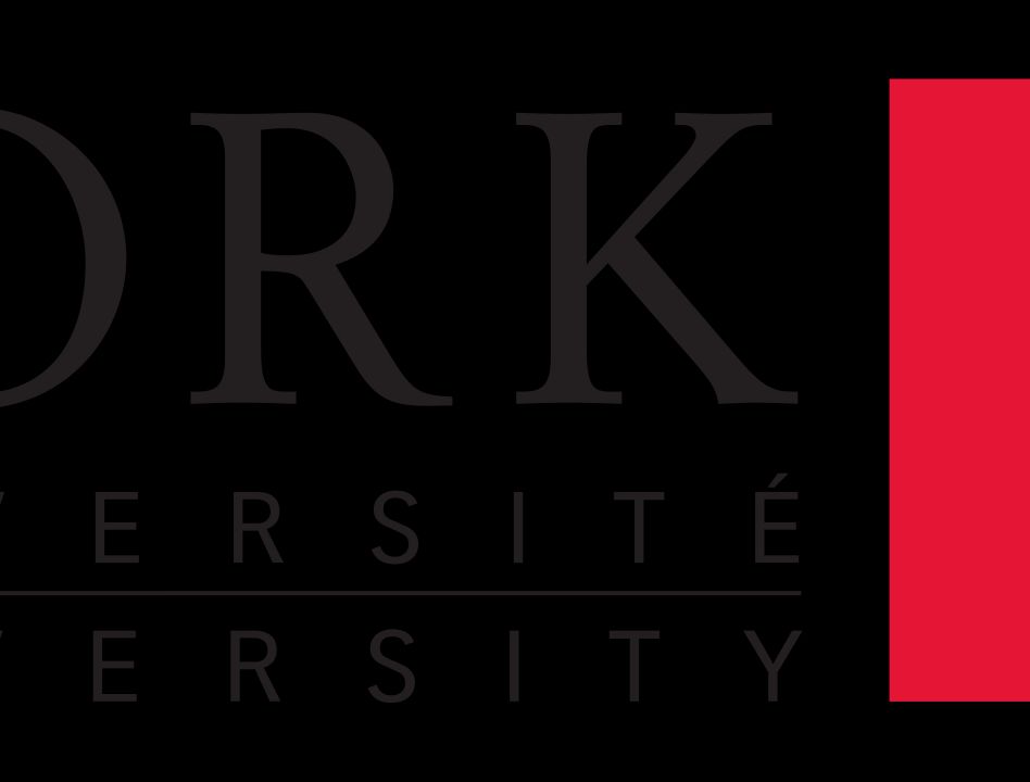 York University