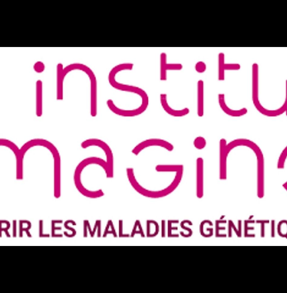Imagine Institut, Paris Cite' University, France