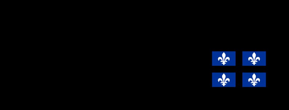 Fonds de recherche du Québec - Santé (FRQS)