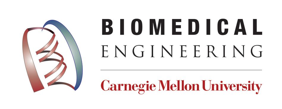 Carnegie Mellon University