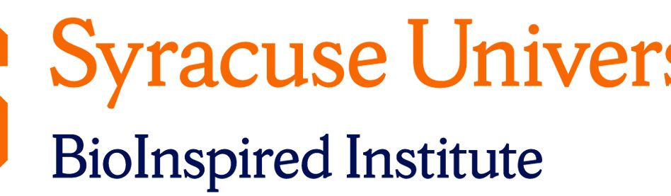 BioInspired Institute