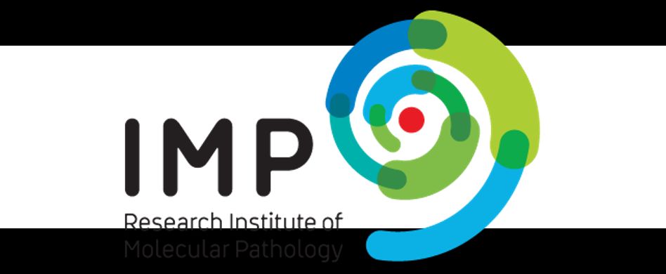 IMP- Institute of Molecular Pathology