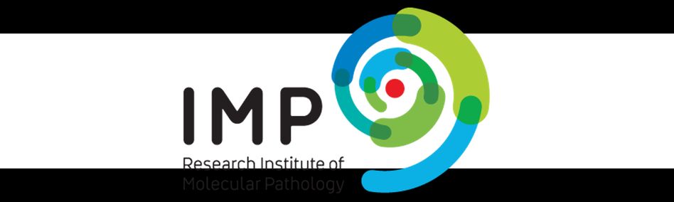 IMP- Institute of Molecular Pathology