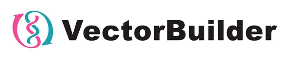 VectorBuilder