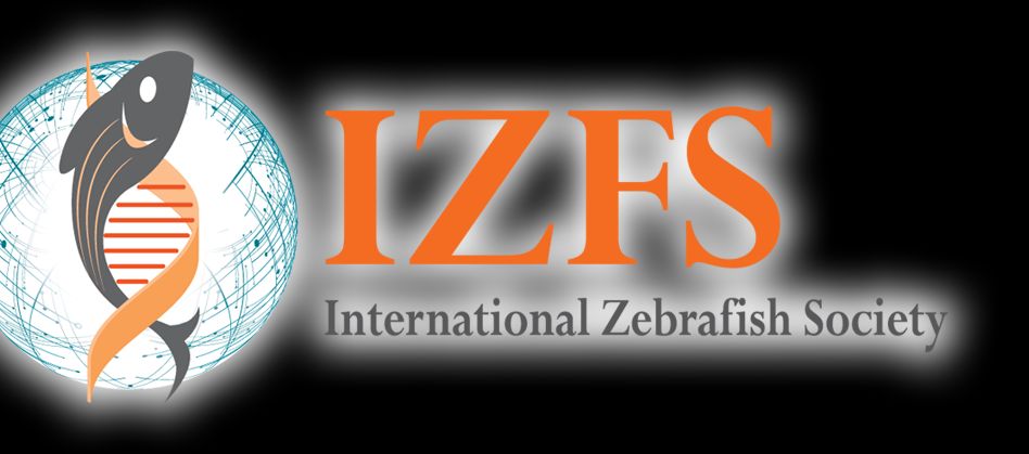 IZFS