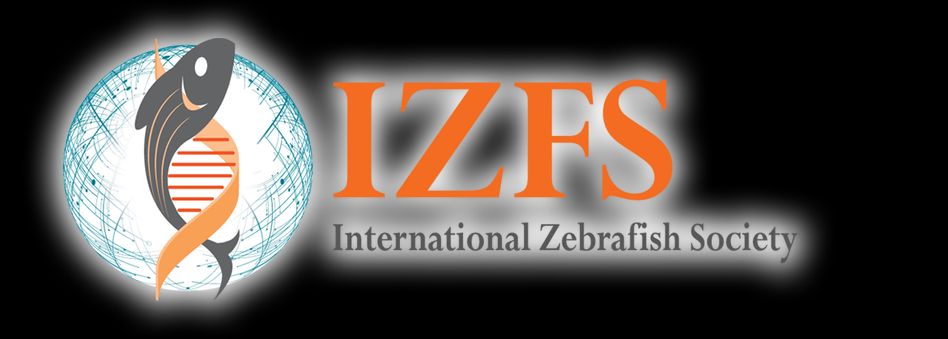 IZFS