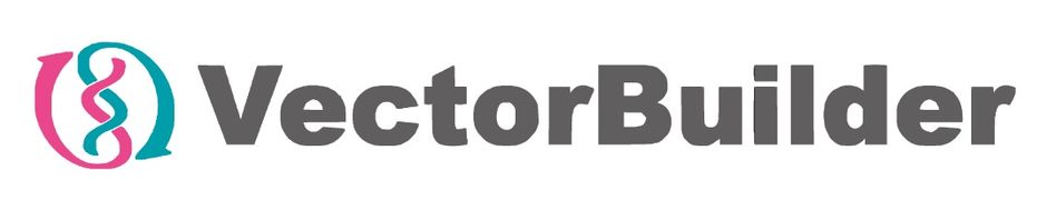 VectorBuilder