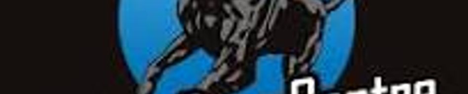 Police Dogs Centre Holland