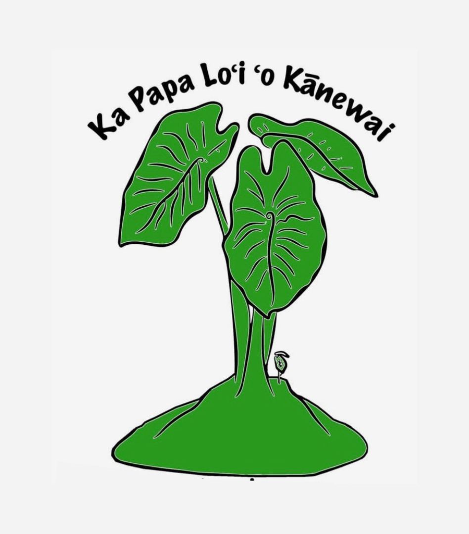 Ka Papa Loʻi ʻo Kānewai