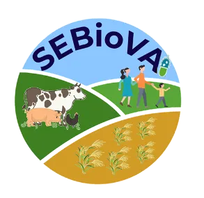 RRI Sebiova