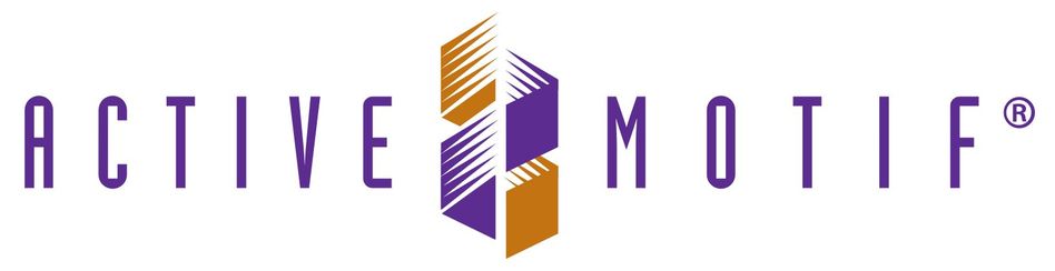 Active Motif