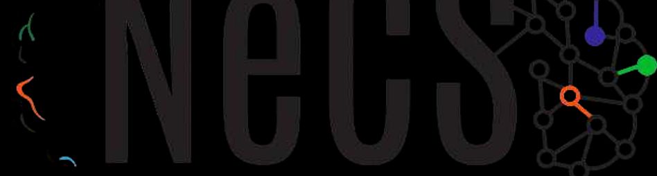 NESC