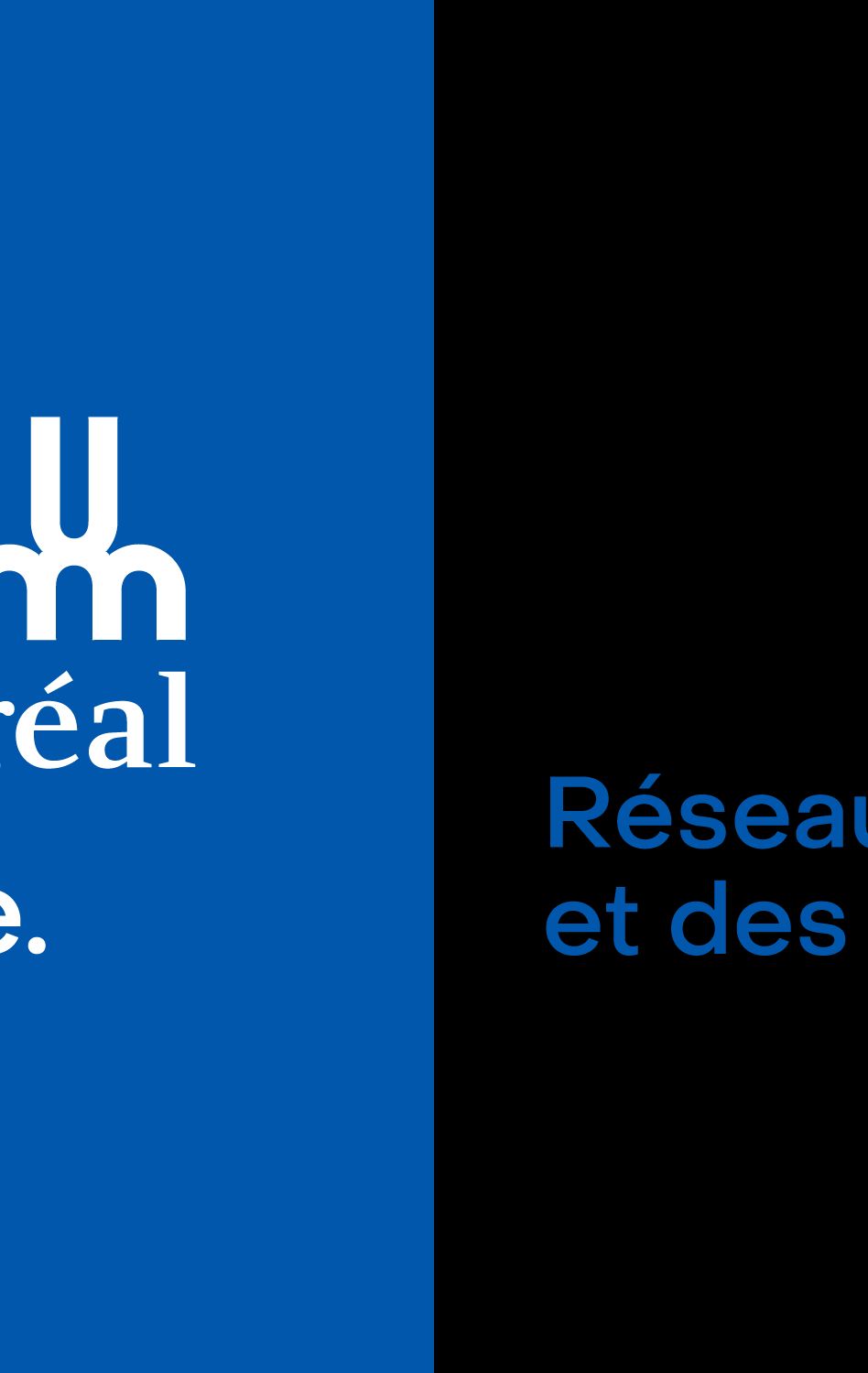 Réseaux des diplomés