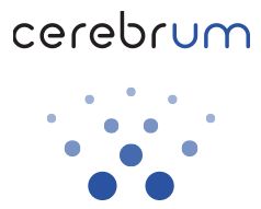 CEREBRUM