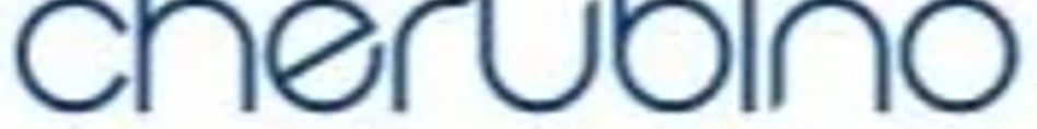Cherubino Ltd