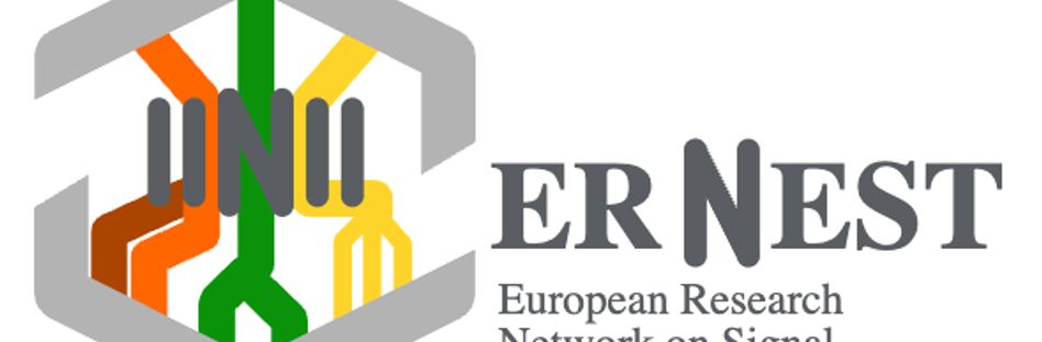 ERNEST COST Action 18133