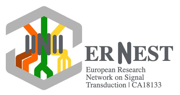 ERNEST COST Action 18133