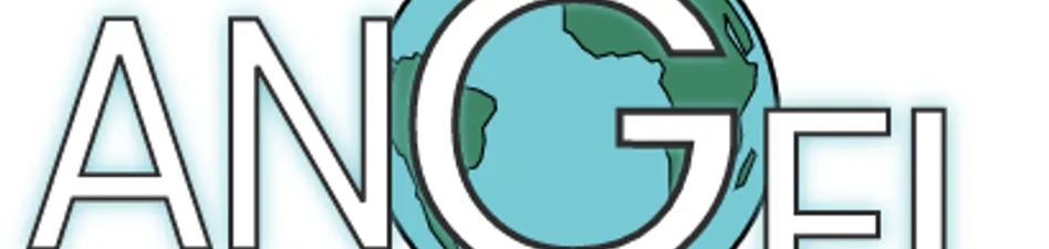 Academic Network on Global Education & Learning