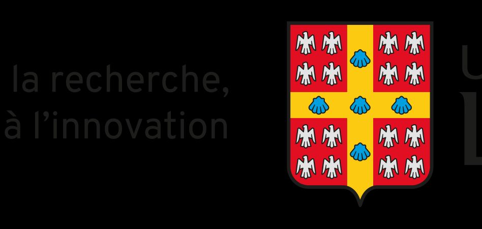 Université Laval, Vice-rectorat à la recherche, à la création et à l'innovation