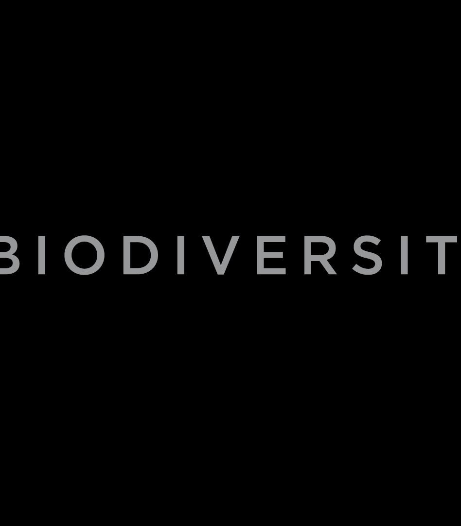 E. O. Wilson Biodiversity Foundation