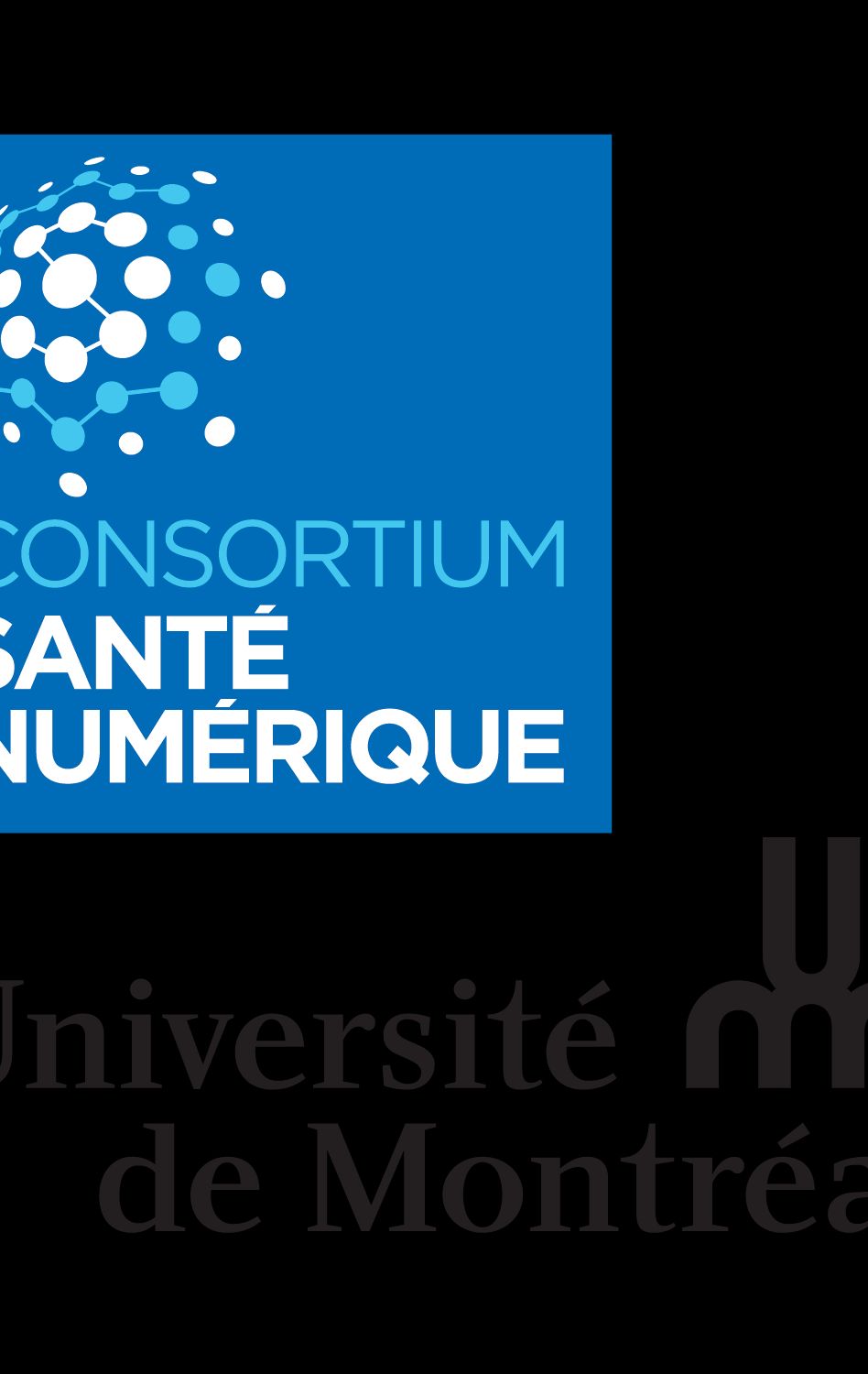 Consortium Santé Numérique de l'Université de Montréal 